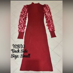 Women Burgundy Dress